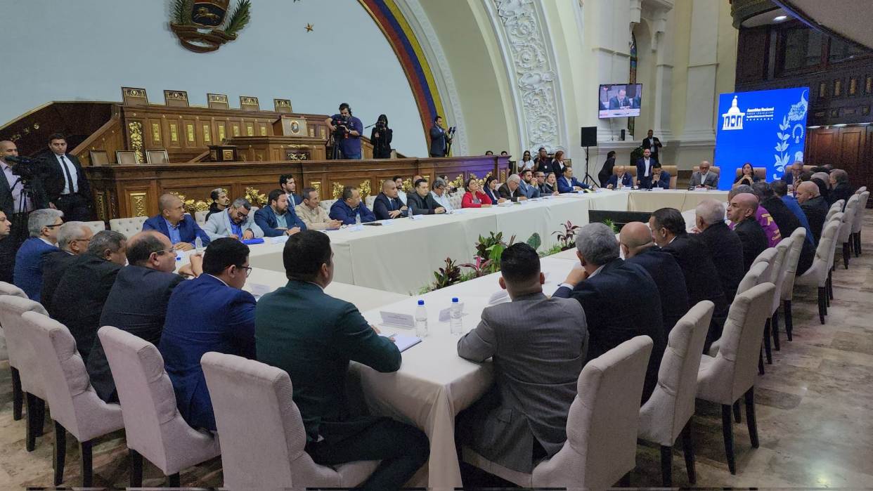 AN presentará un borrador con todos las propuestas para un cronograma electoral