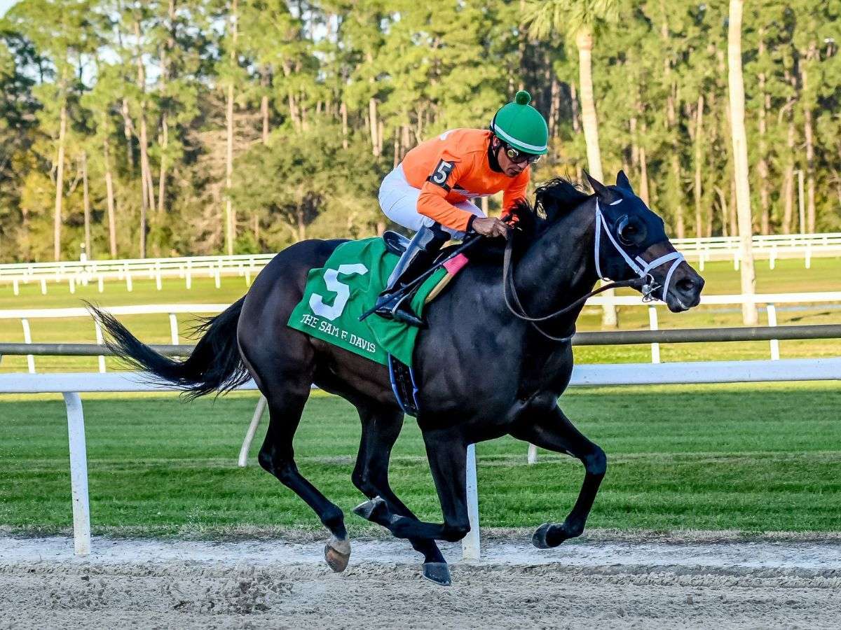 Kikito D'Angelo en ruta al Kentucky Derby