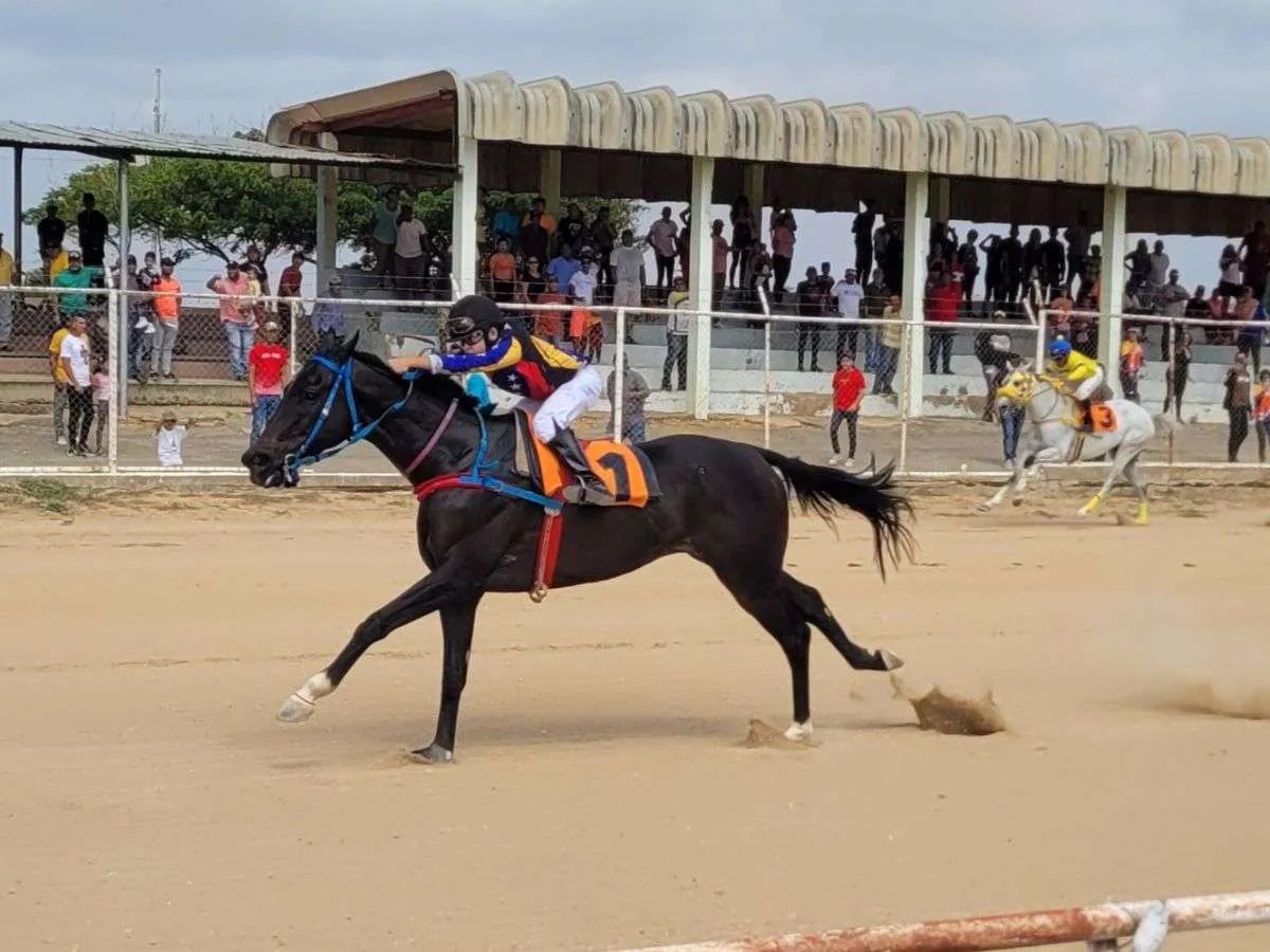 Mañana se corren cinco carreras en Paraguaná