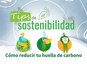 Descubre las 3 Características Clave de un Hotel Sostenible 