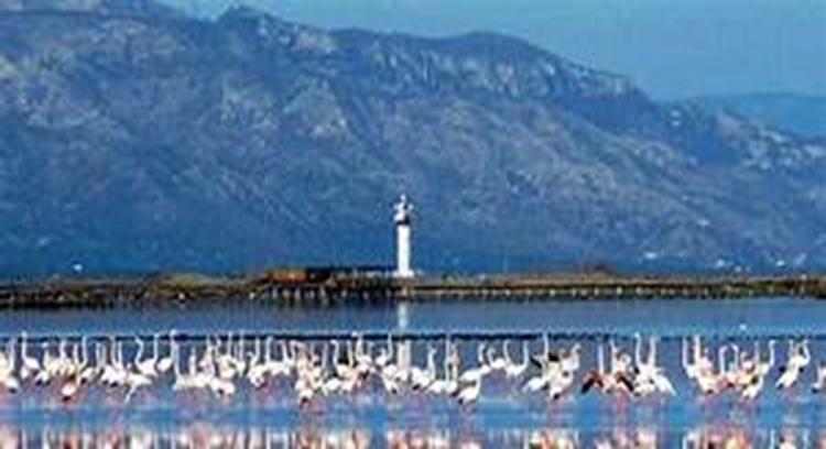 Parque Natural del Delta del Ebro: Sumérgete en la Sugestión de la Naturaleza