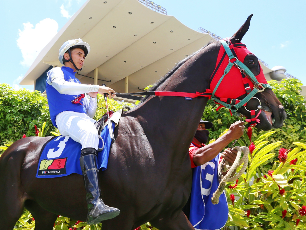Hemirxon Medina con ocho montas en Caracas