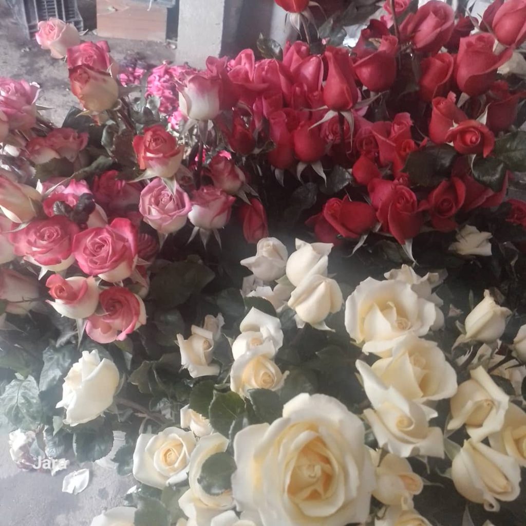 Trujillo produce variedad de flores exportables