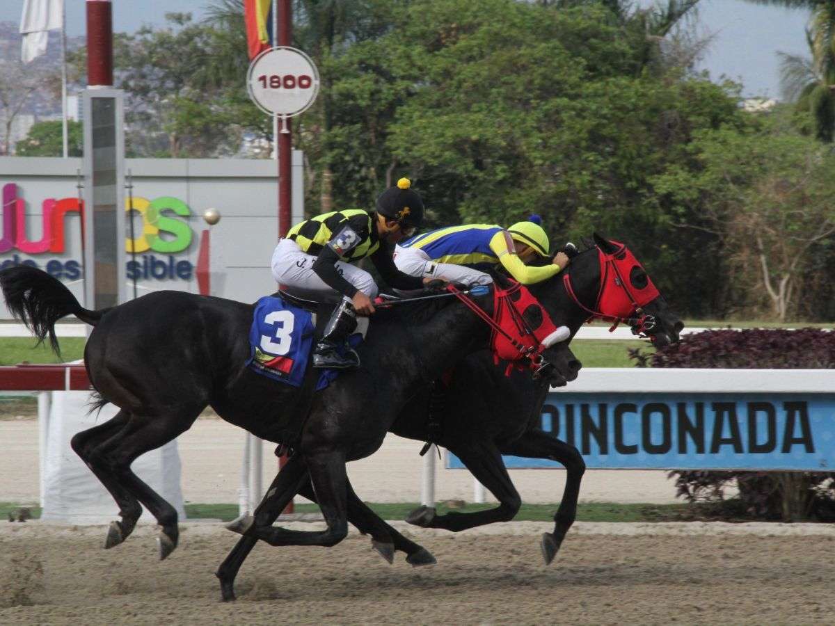 Resultados de La Rinconada