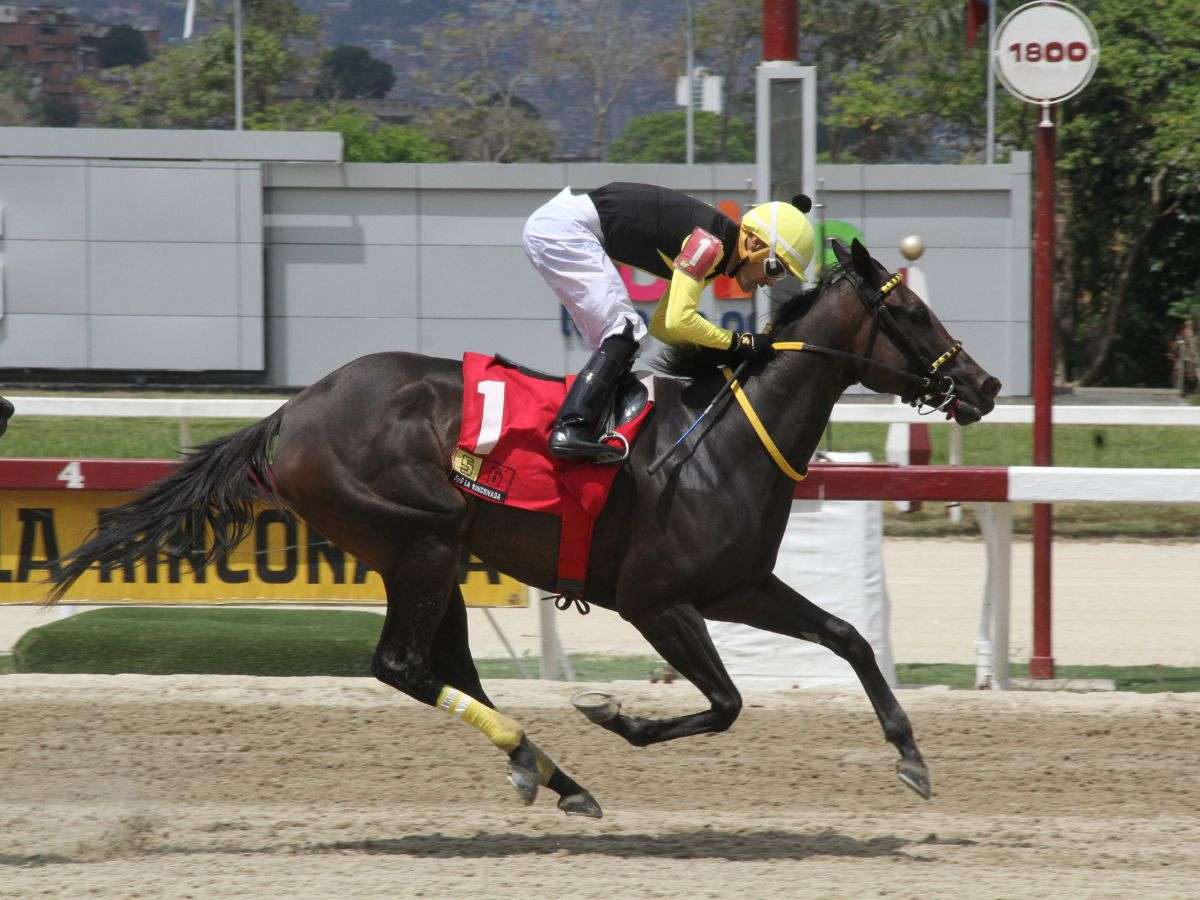 Turbinada respondió en el Eduardo Larrazábal