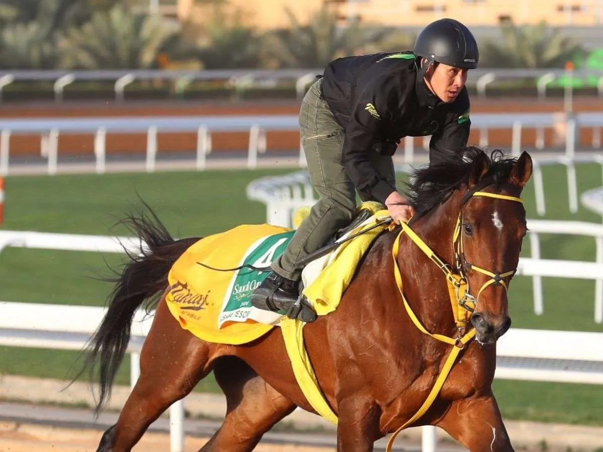 Japonés Ushba Tesoro por el desquite en la Dubai
