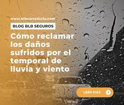 Cómo reclamar los daños causados por desastres naturales y el papel del seguro 