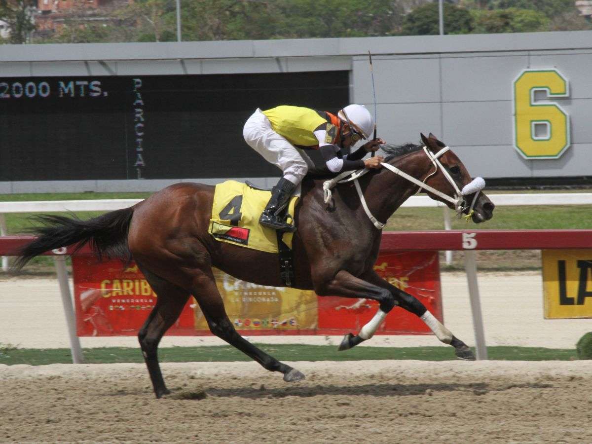 Daniela Runner va al Blondy