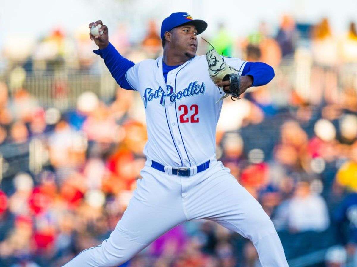 Samanes suma poder dominicano a su bullpen