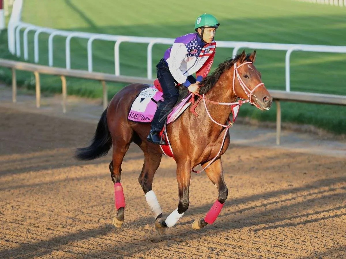 El invicto Forever Young llegó a Churchill Downs