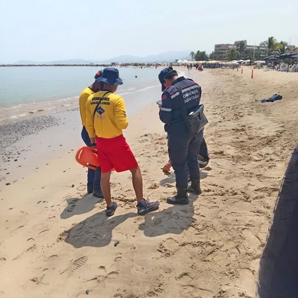En costas de Anzoátegui también aparecieron medusas