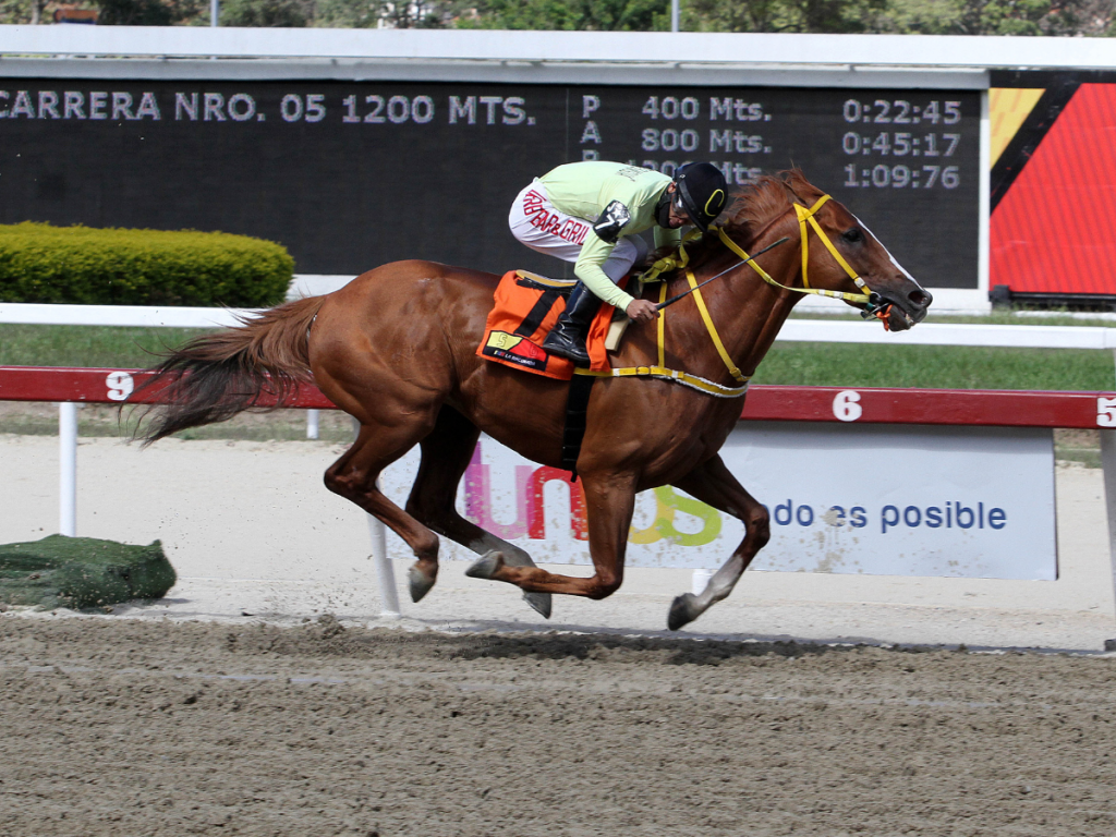 Copa Mundo Hípico se corre esta tarde