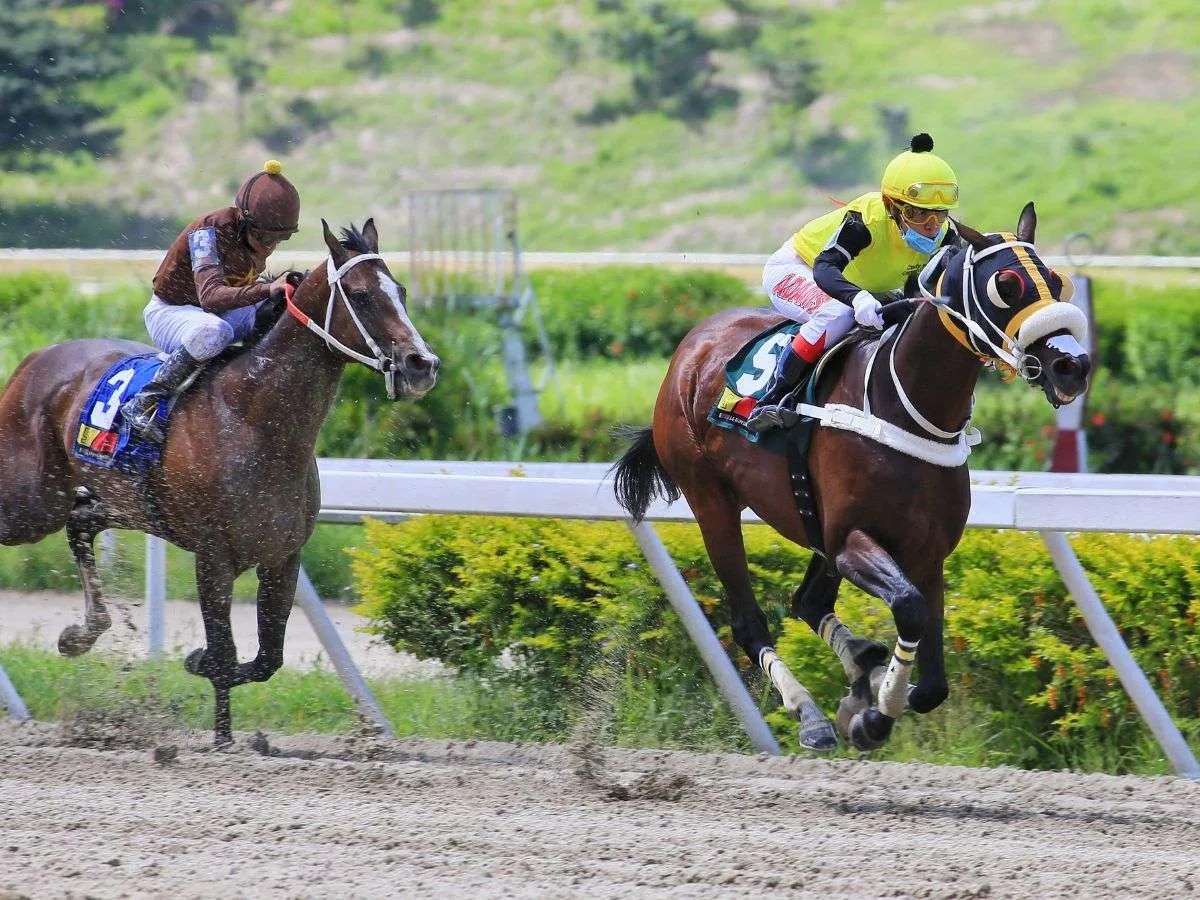 Comisarios investigan actuación de Skyline