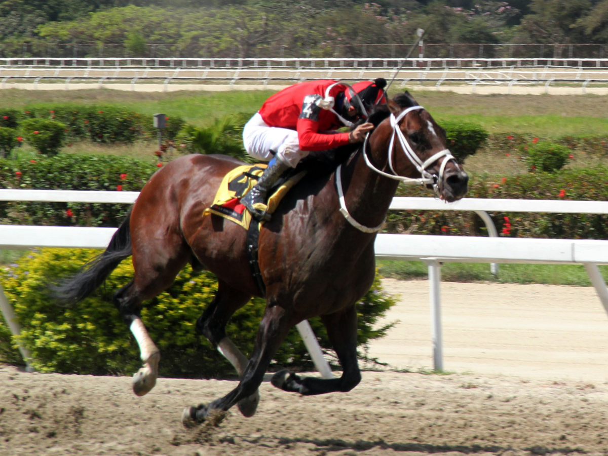 Templario en emocionante final - Líder en deportes