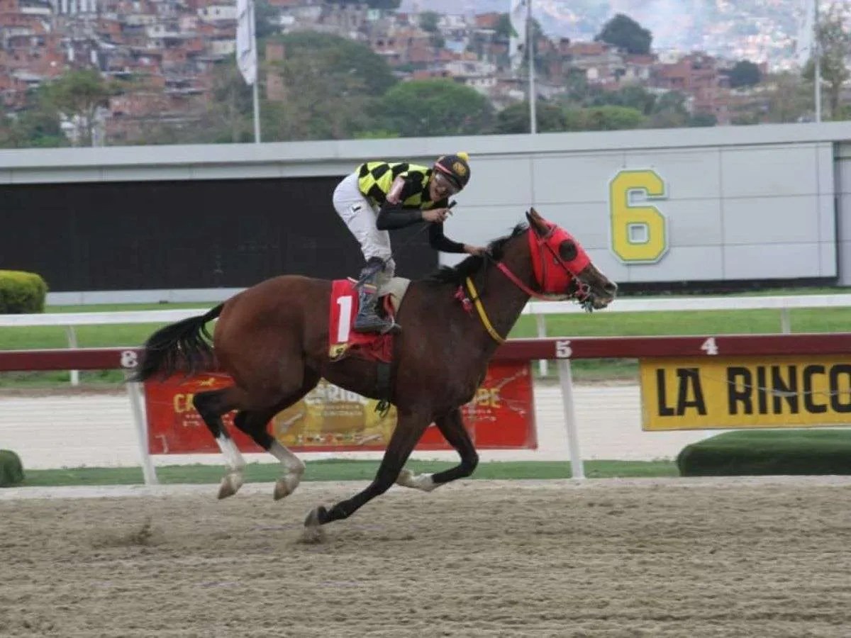 Vino Tinto respondió en el Juan Vicente Tovar