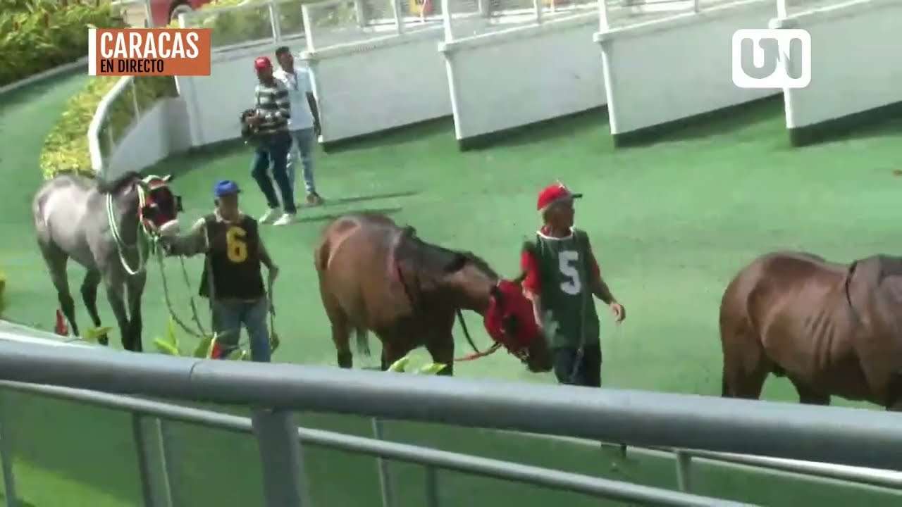 Así se vivió en La Rinconada la Copa Líder en Deportes