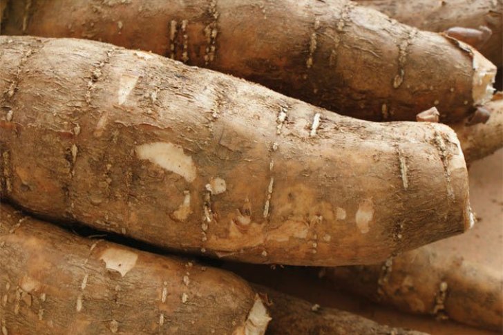 Fallece niña de 9 años luego de consumir yuca amarga en Anzoátegui