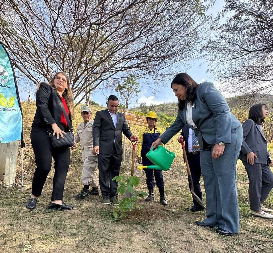 Realizaron jornada de reforestación en el Waraira