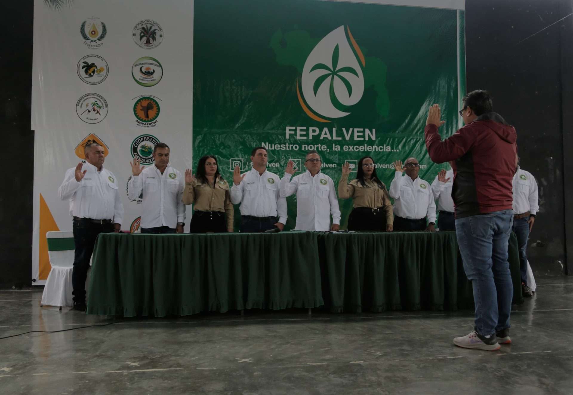 Productores de palma buscan reducir importaciones con producción nacional