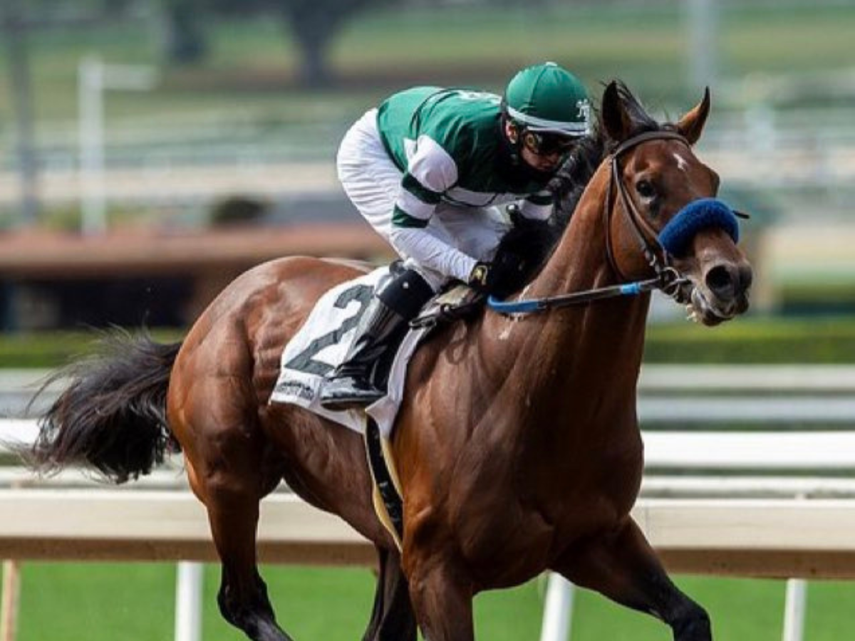 Flightline, excelente debut de su medio hermano