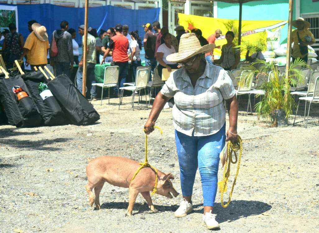 Lanzan plan "Urdaneta Cría y Produce" en Cúa