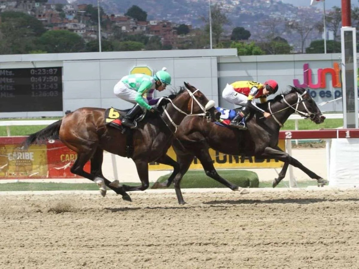 Programadas 10 carreras el domingo en La Rinconada
