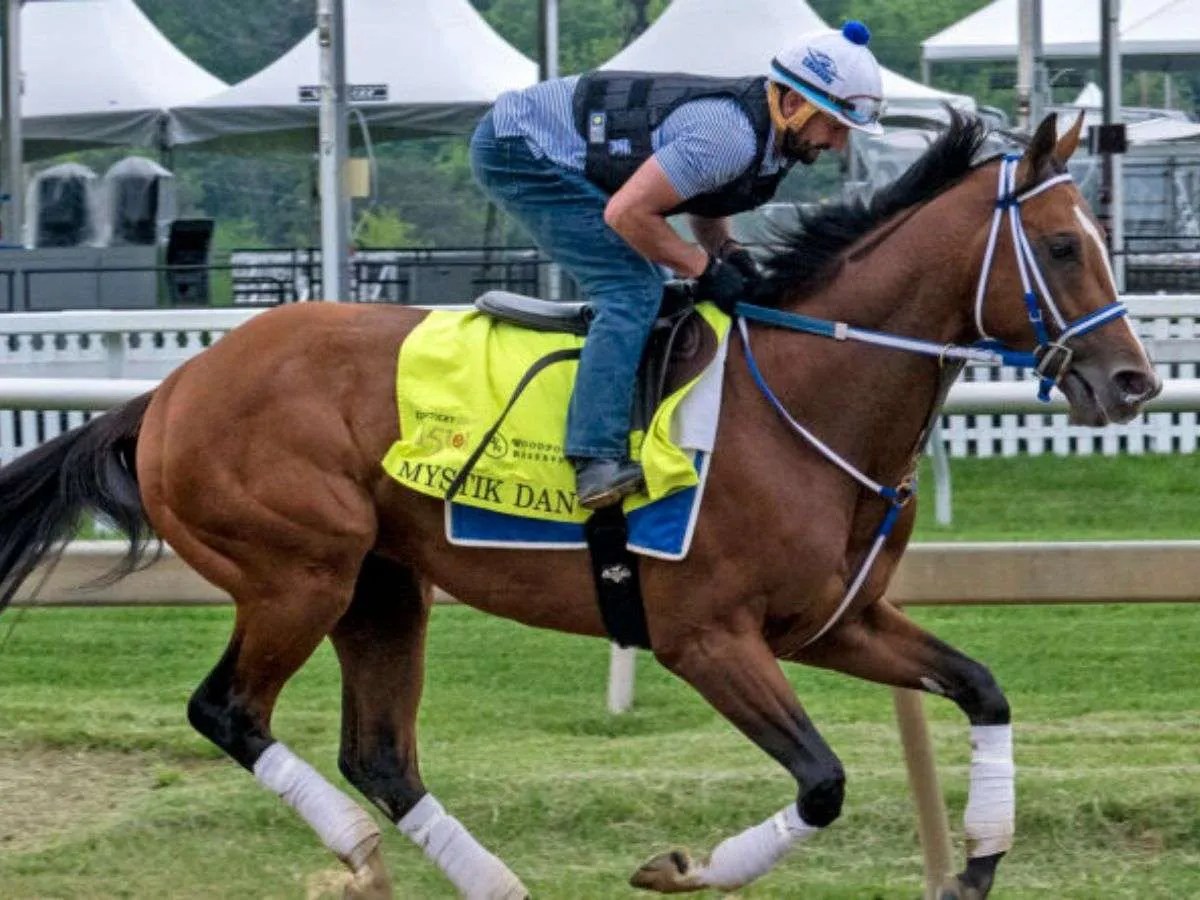 Mystik Dan se adaptó bien a la arena de Pimlico