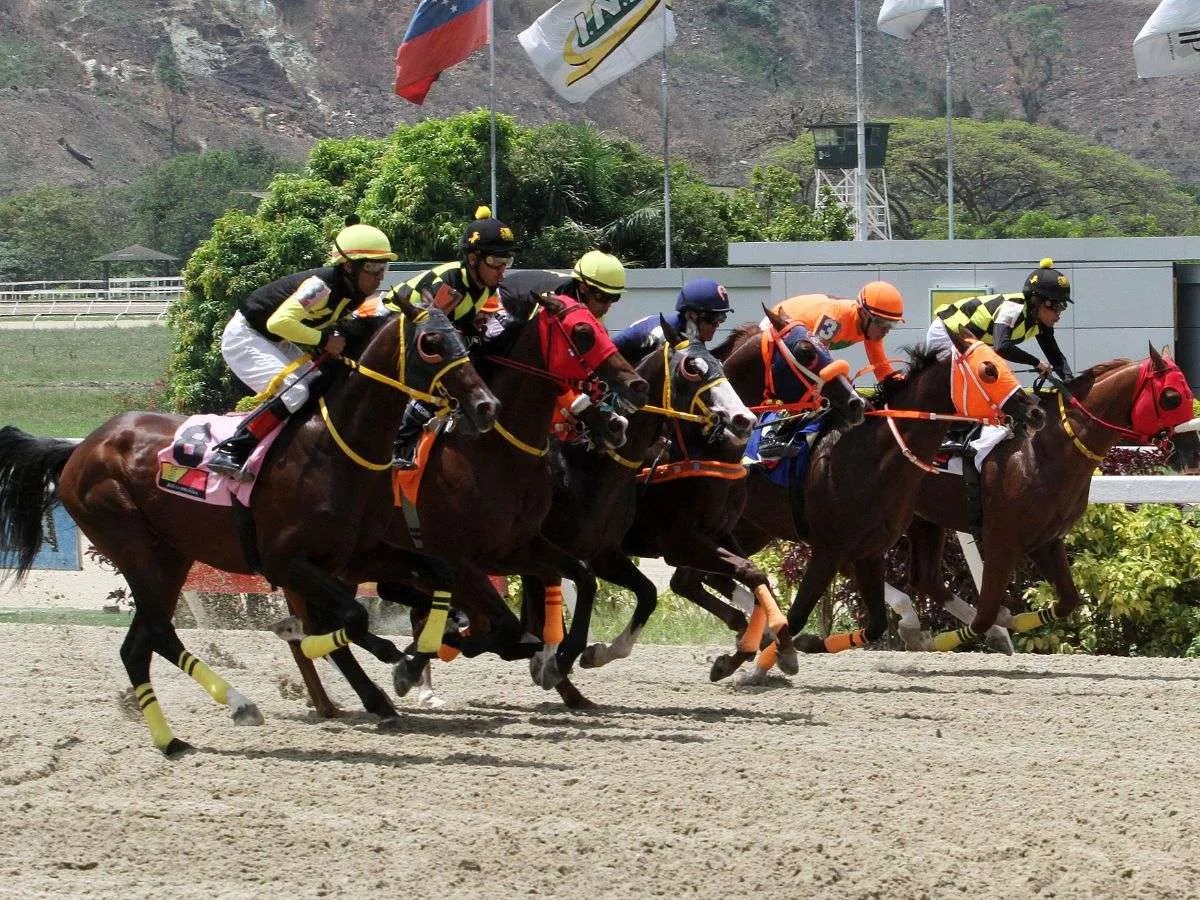 Pádel mandó de punta a punta para su tercera foto
