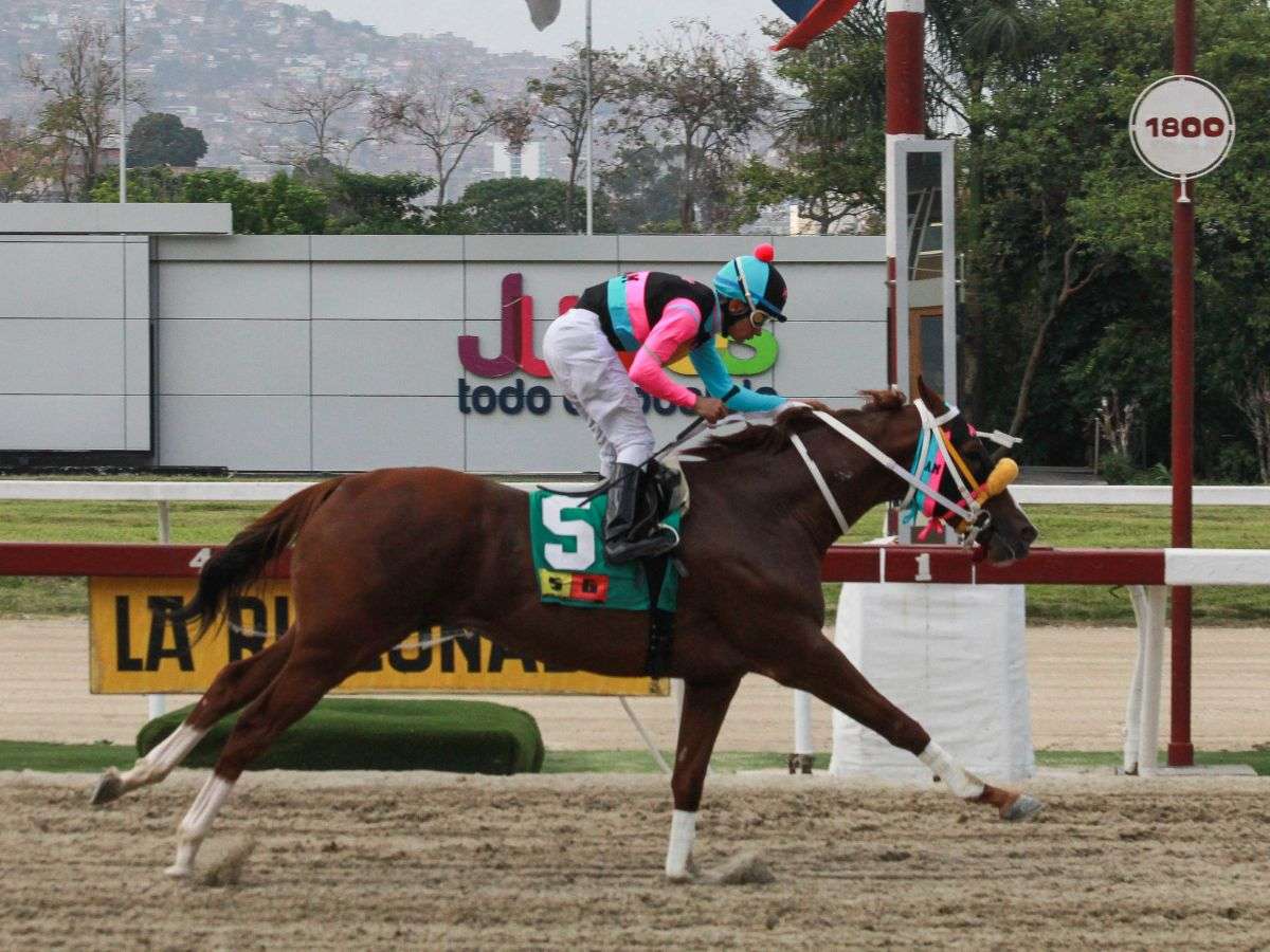 Time Traveler reapareció ganando como un campeón