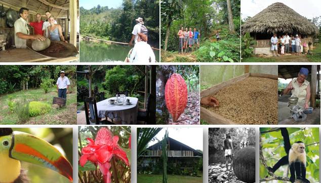 Experiencias de Turismo Rural Auténtico: Descubre la Belleza de la Naturaleza y las Tradiciones Locales 