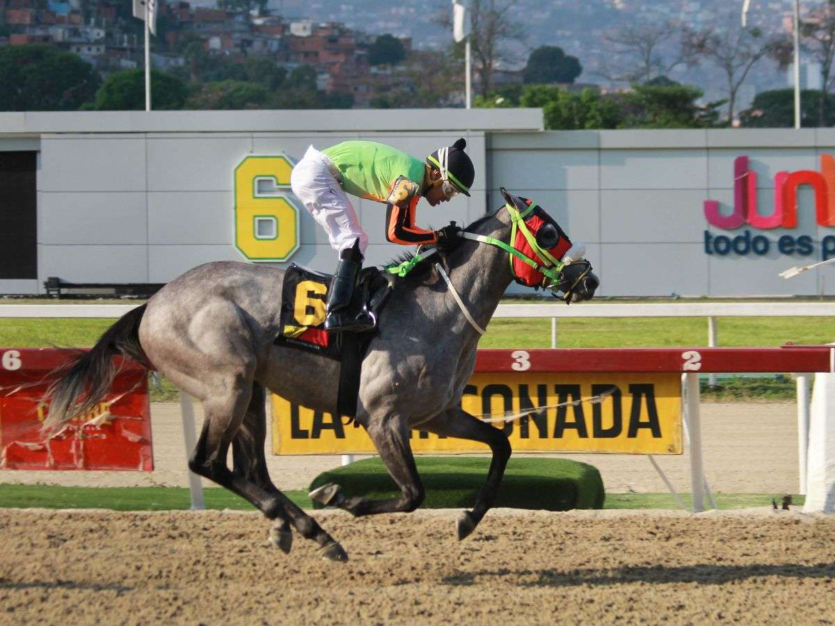 Lemon White en emocionante final