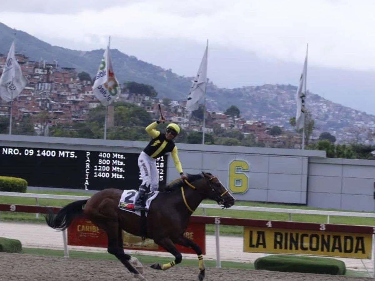 Amelazado reverdeció laureles