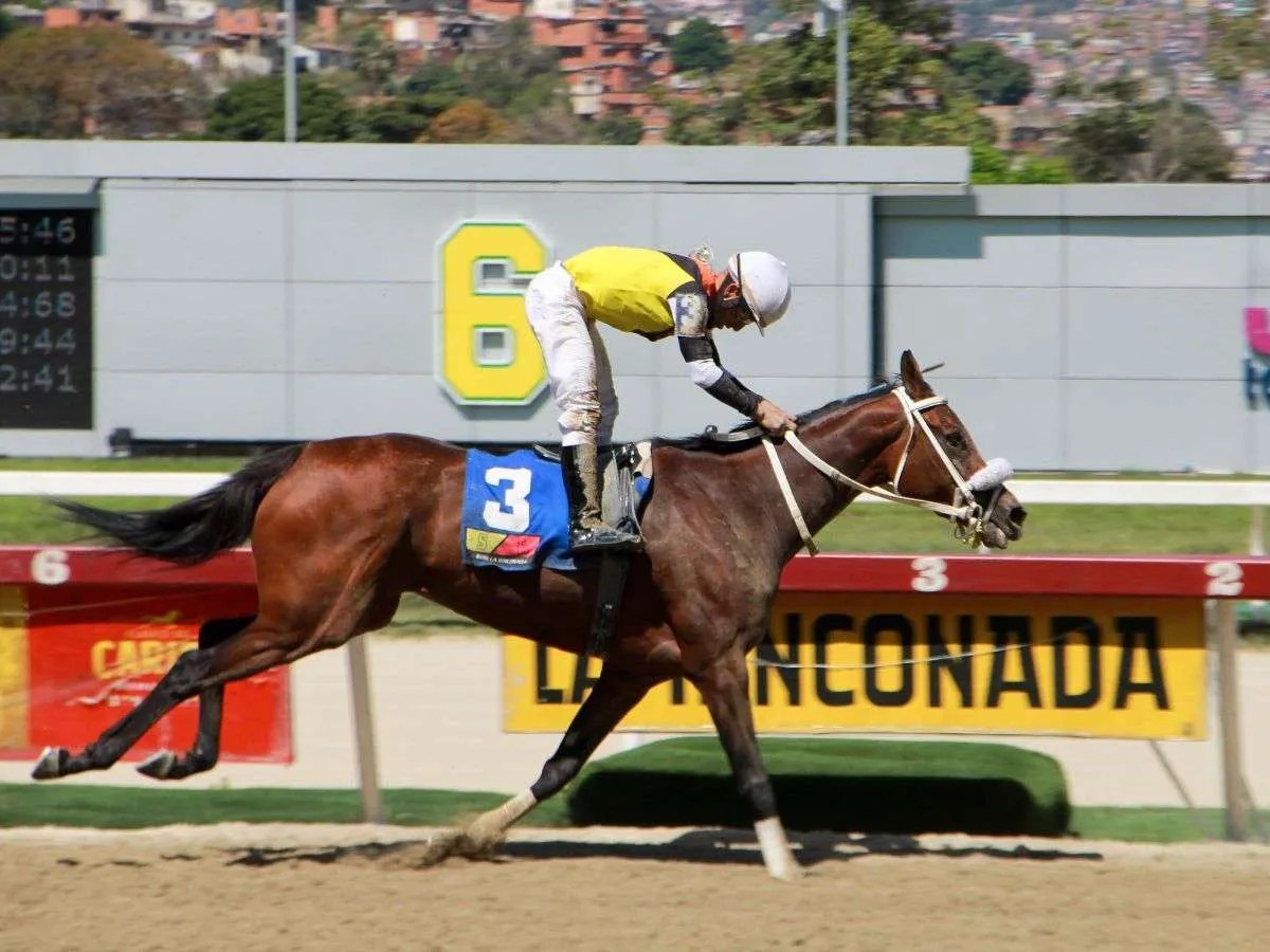 Daniela Runner es favorita gigante en el Bambera