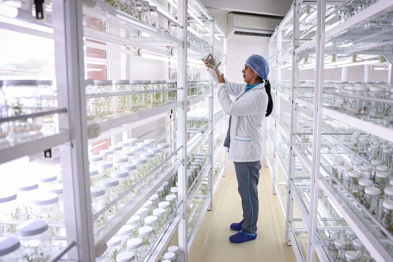 Cebisa, biotecnología en manos de campesinos