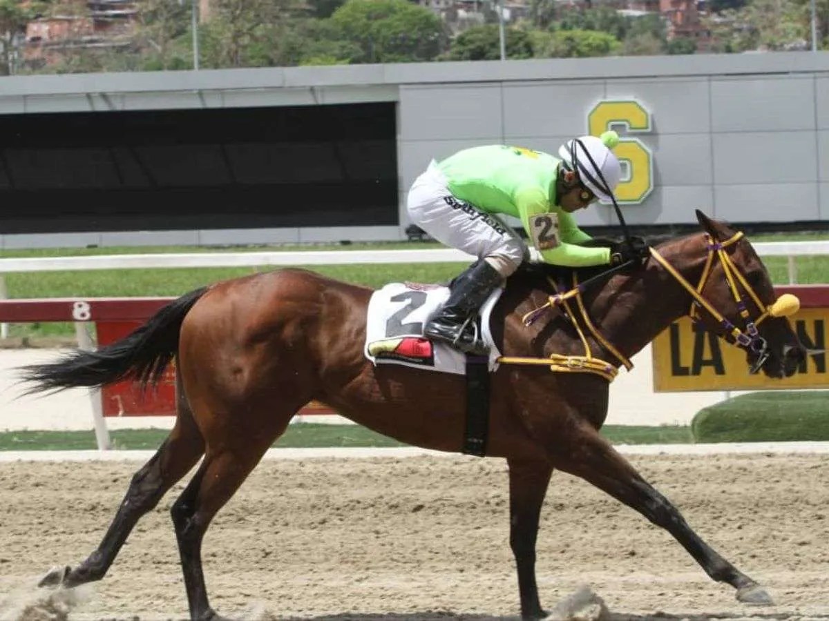 Four Palms Queen lista para la 1a gema