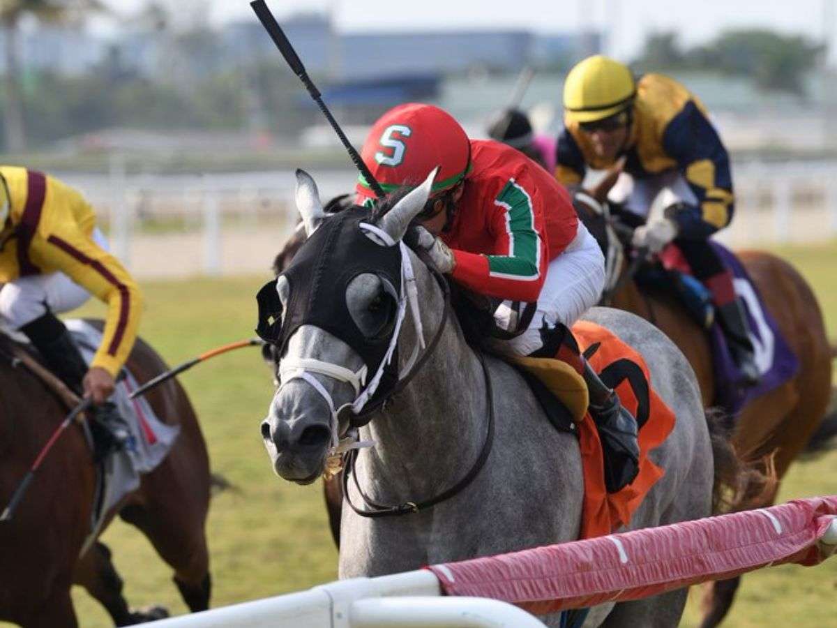Gabaldón y Jaramillo a punto de coronar la gloria en Ascot
