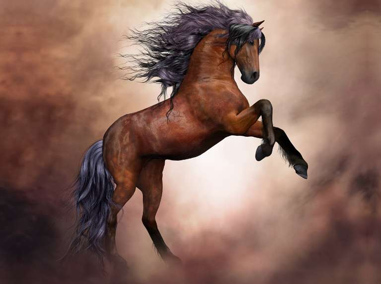 La energía del caballo en el feng shui