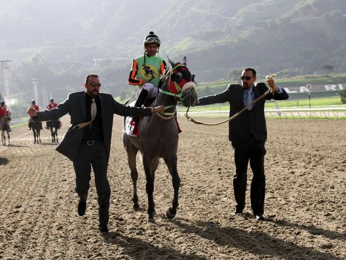 Lemon White va tras los pasos de Gradisco