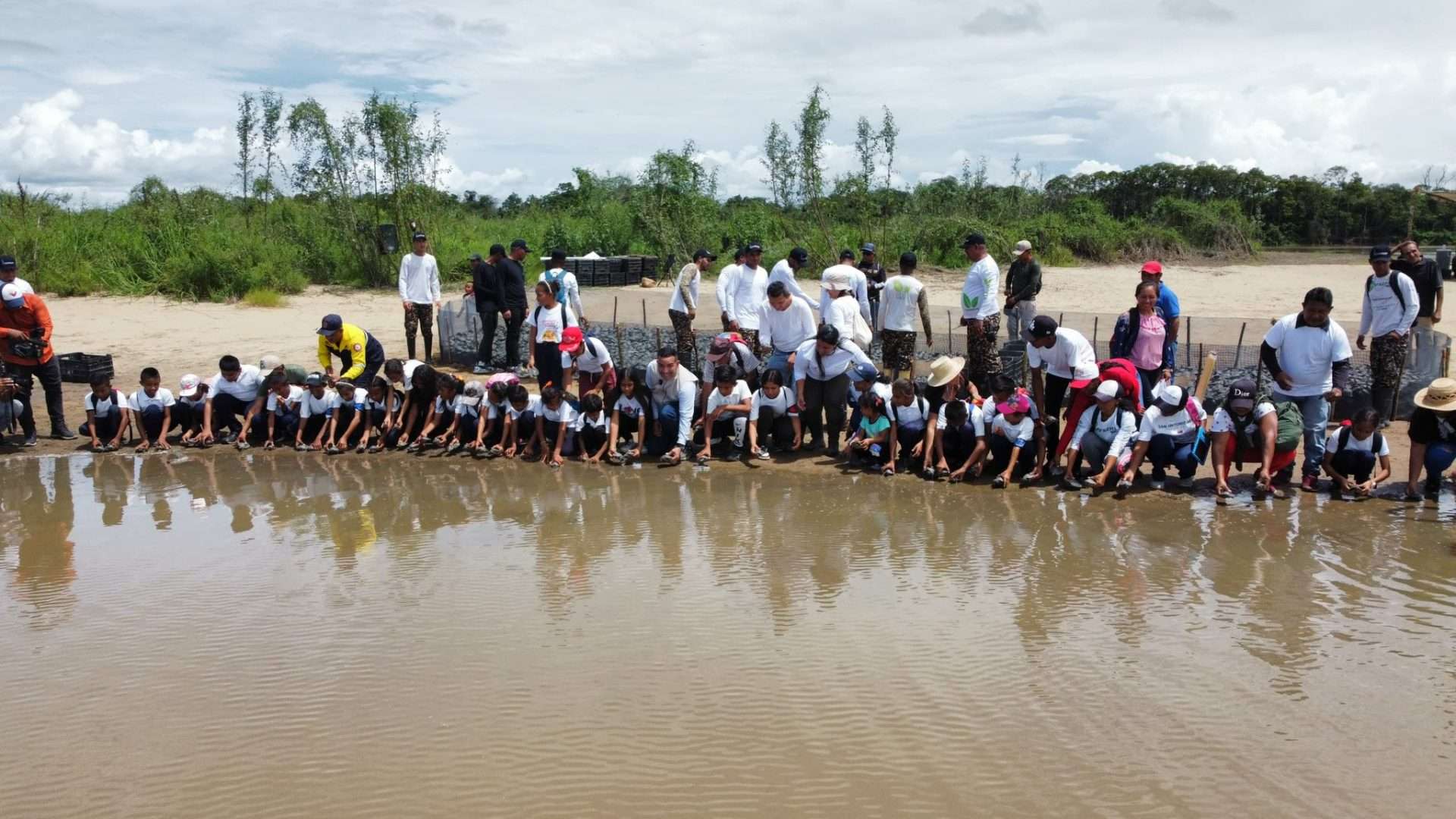 Venezuela alcanza hito de 1 millón de tortugas Arrau y Terecay liberadas