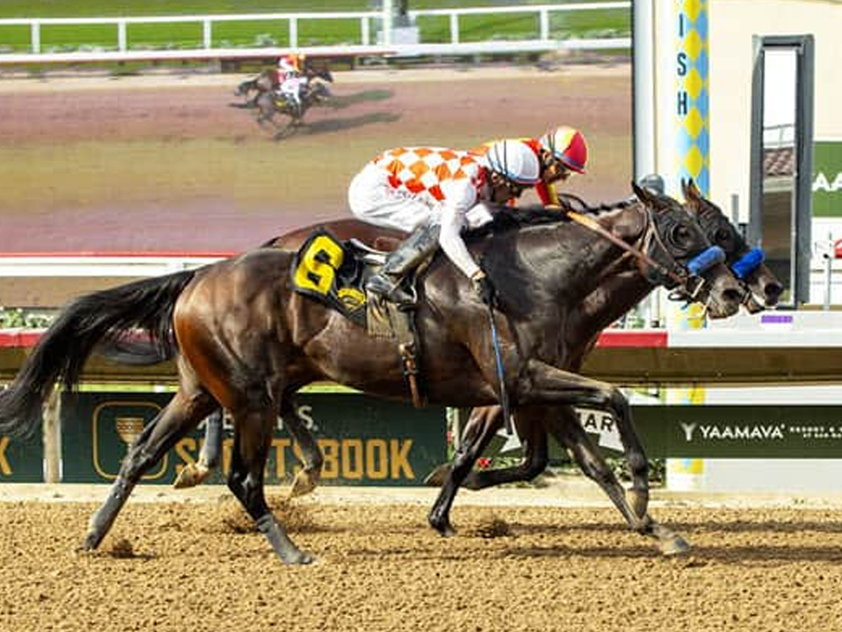 Mr. Fisk ganó y se lesionó en el Hollywood Gold Cup
