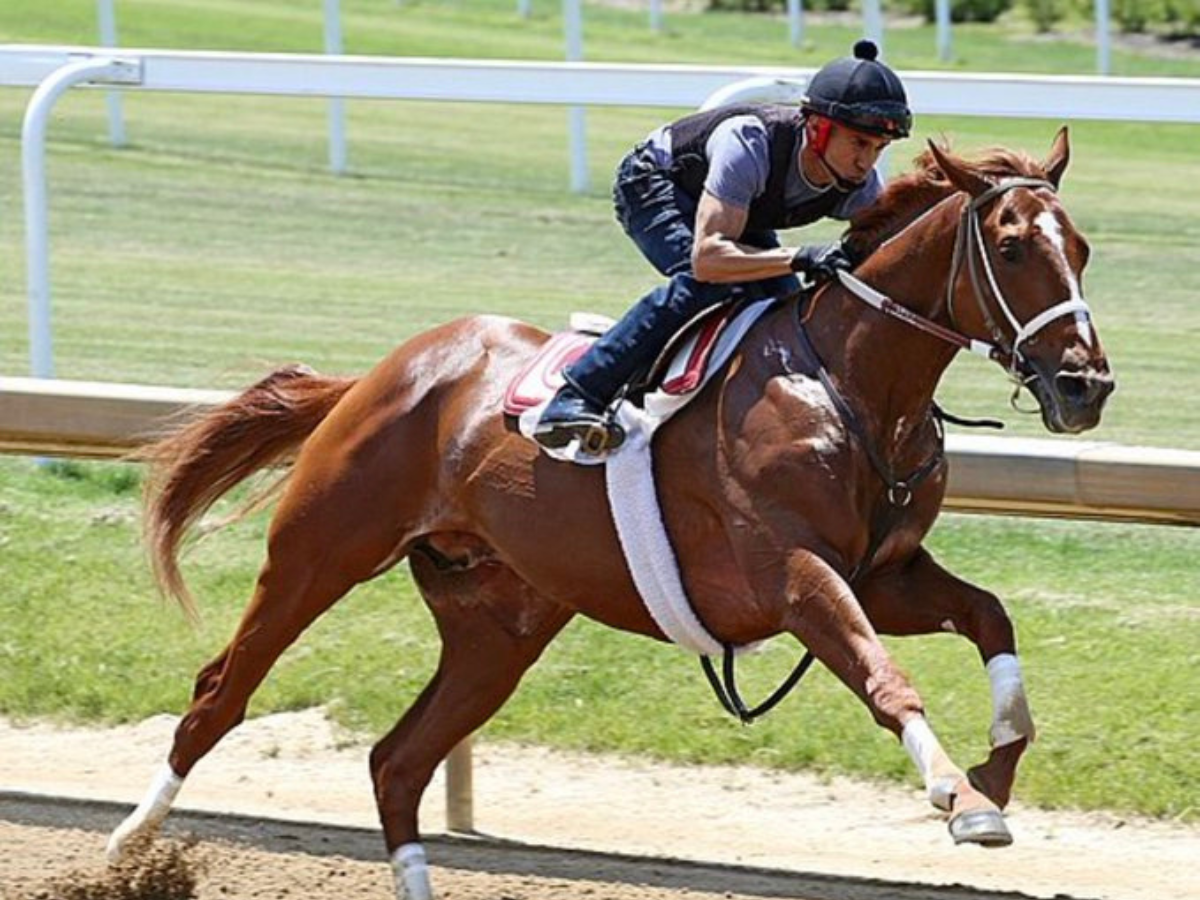 Rich Strike está de regreso en el establo de Bill Mott