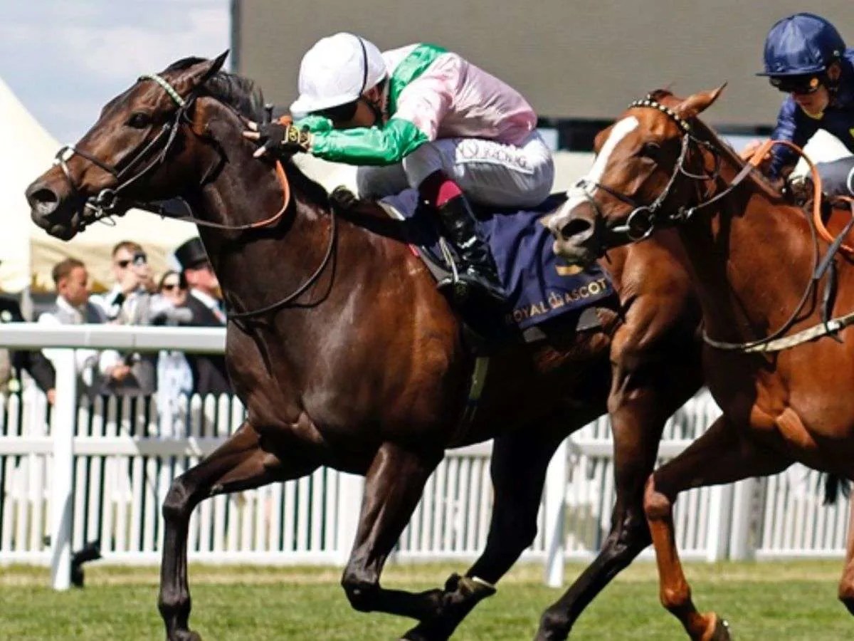 Finalizó la temporada de Royal Ascot en Inglaterra