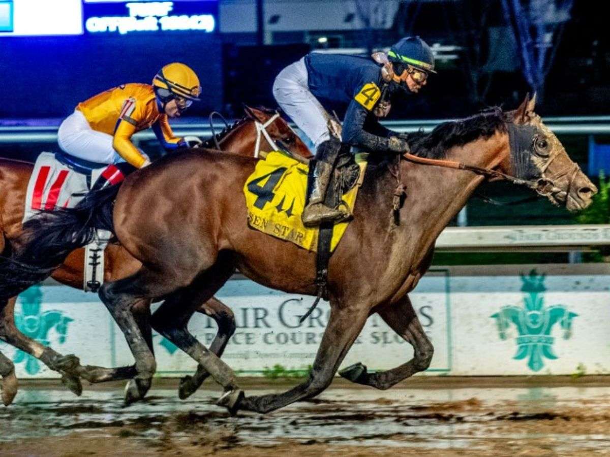 Sierra Leone y Mystik Dan favoritos del Belmont Stakes
