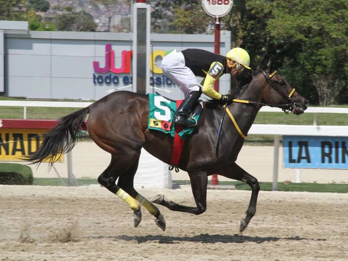 Turbinada tendrá bonito duelo con Fast Sensations