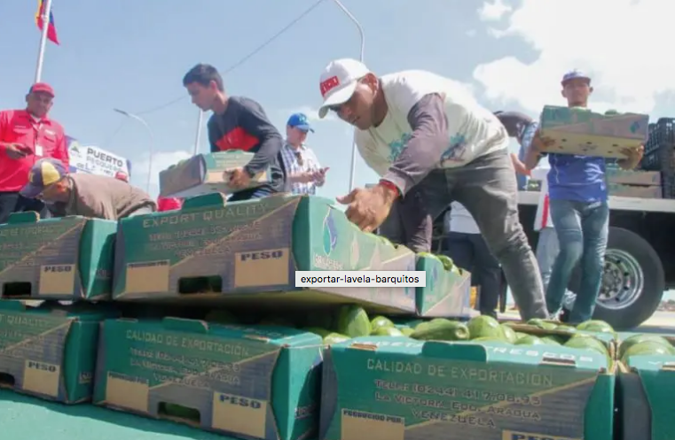 Sectores de la isla de Bonaire piden ampliar exportaciones