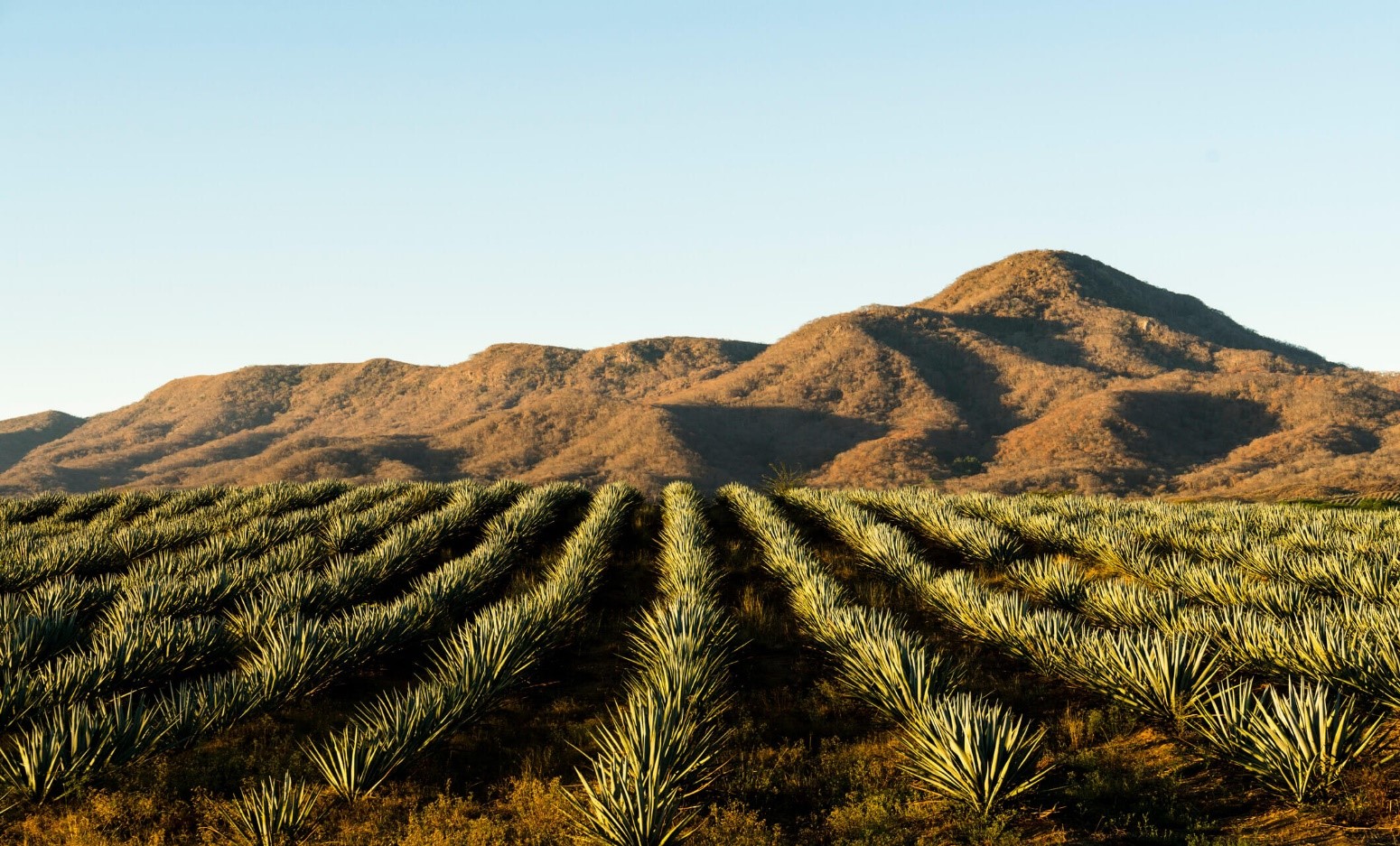  Descubriendo la Belleza de los Destinos Rurales: Planificación de Rutas y Actividades para una Experiencia Inolvidable