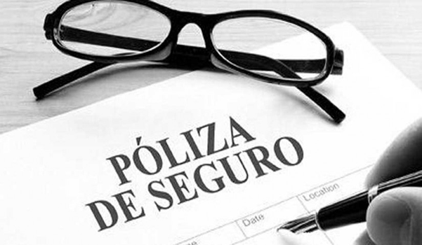 Descifrando el contenido de una póliza de seguro: Protección y tranquilidad explicadas 
