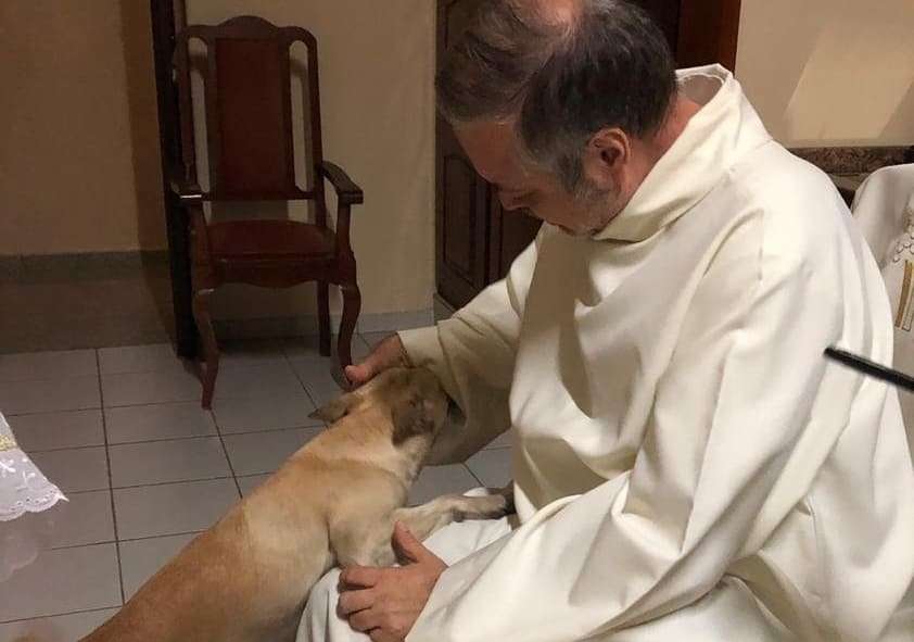 Sacerdote brasileño alberga perritos en situación de calle