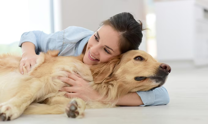 La muestra de afecto humano que genera estrés y ansiedad en los perros