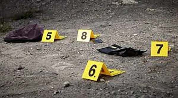 Abatido sujeto que asesino a una adolescente